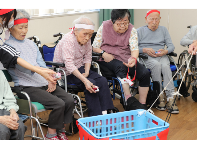 あの籠に玉を投げ入れてね🥎