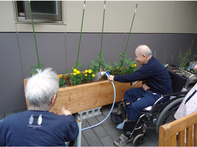 トマト&マリーゴールド