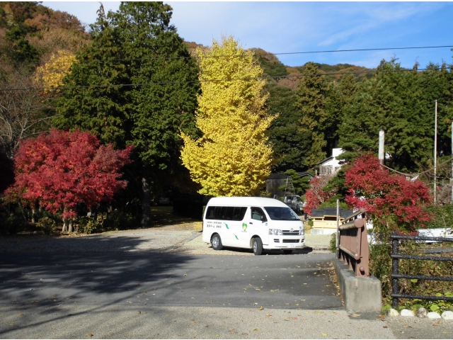 11/28　晴れたけど寒い！