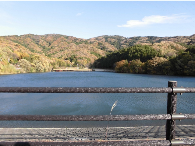 山並みがきれいです
