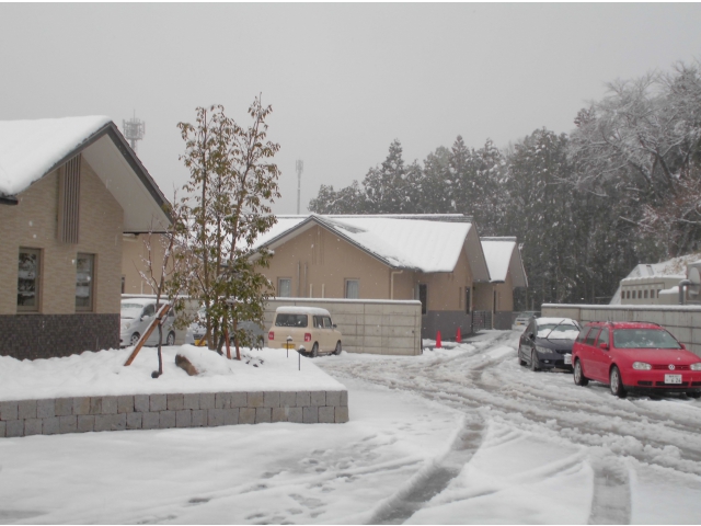 岡崎市ですよ！