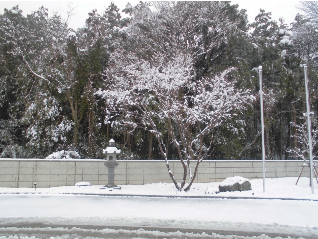 一句出来そうです