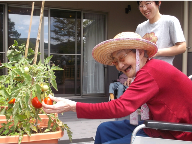 私も採りま～す