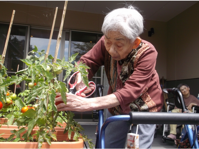 私も採ります！！！