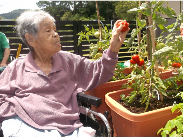 私も採ります！！！
