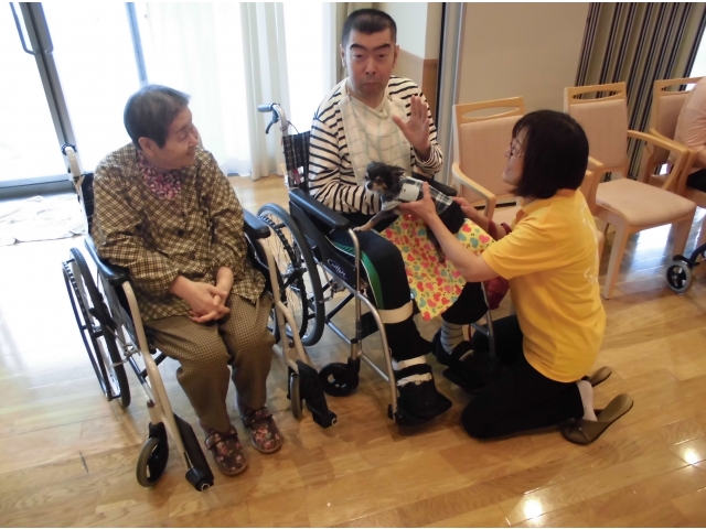 膝の上にいます。見えますか？