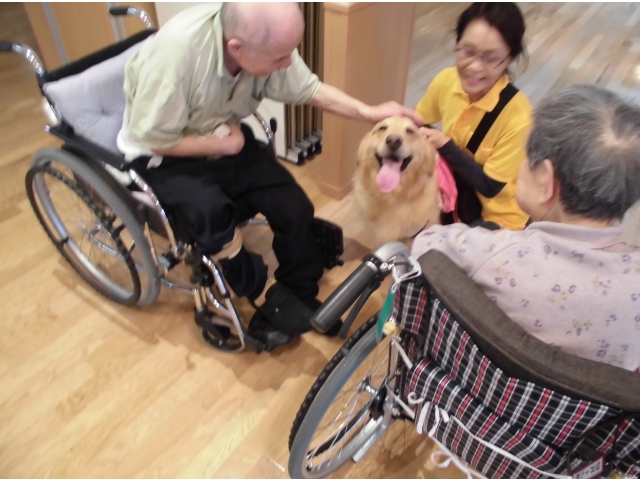 いい笑顔（＾ｖ＾）