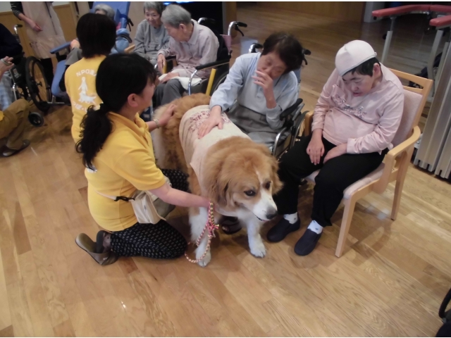 大きいワンちゃんですね～