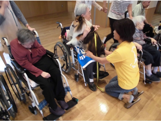 だっこさせてもらいました