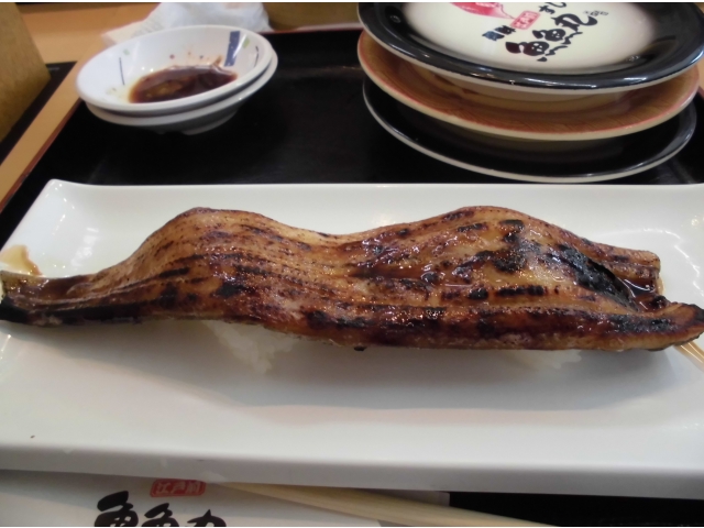 大きなアナゴ！