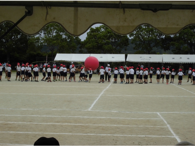 大玉転がし競争