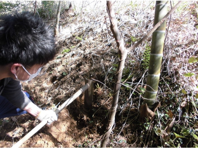毎年、掘ってます