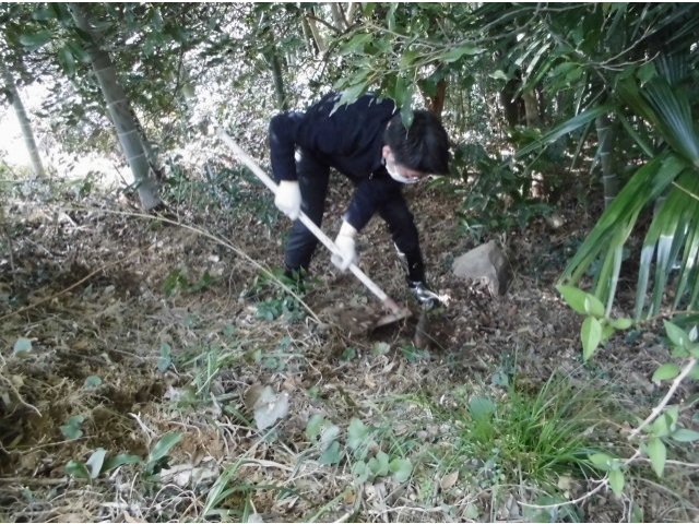 初たけのこ堀り　体験中