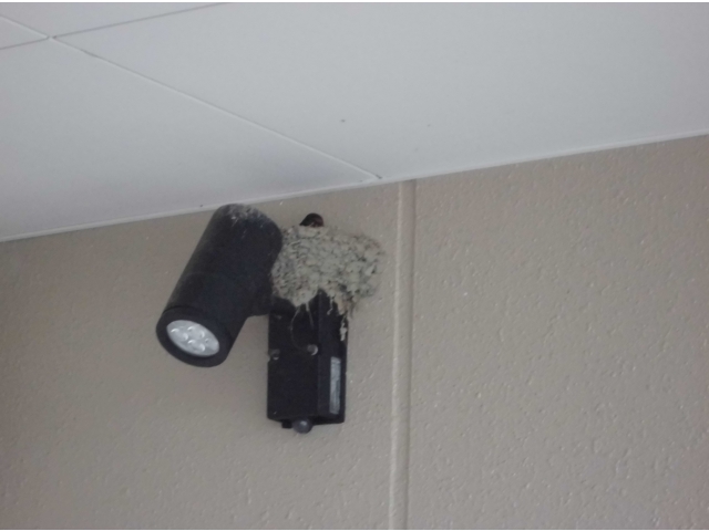 もえぎユニット