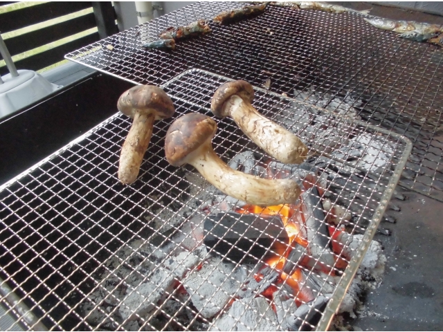 おいしそうな松茸