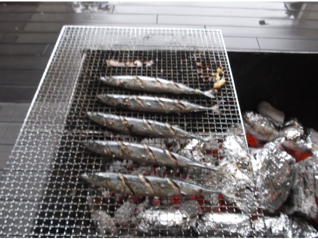 サンマ　いいね～