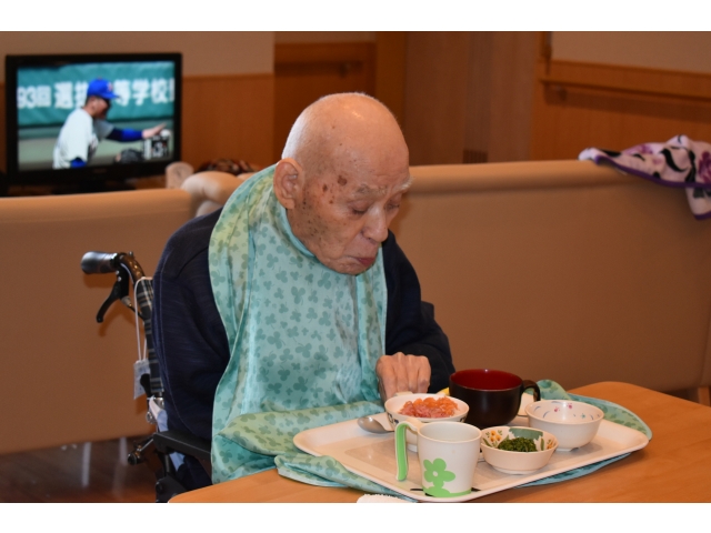 ネギトロとサーモンの海鮮丼