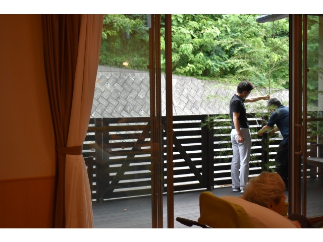 笹竹を切ってきました