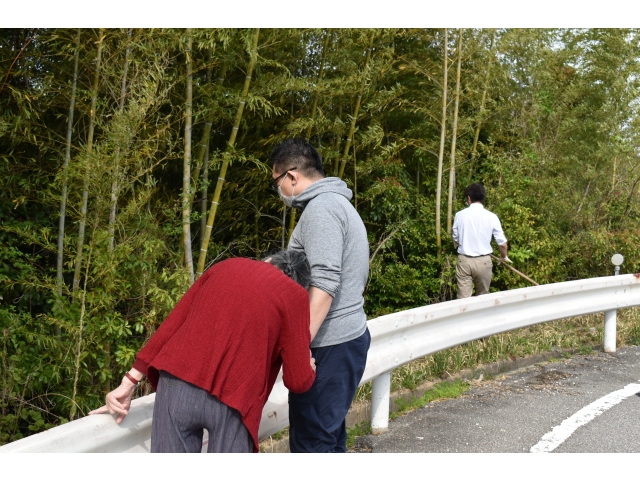 たけのこあるかな？