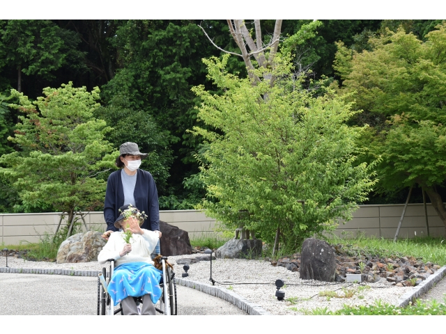 穏やかな昼下がり