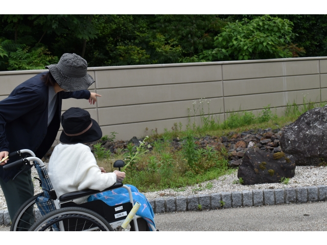 花を見つけました