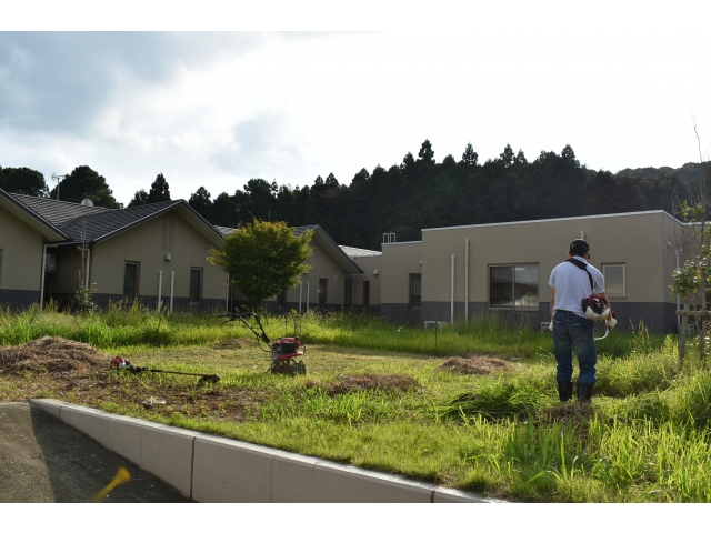 少しずつ進んでいます