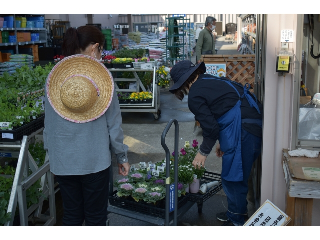 花苗買出