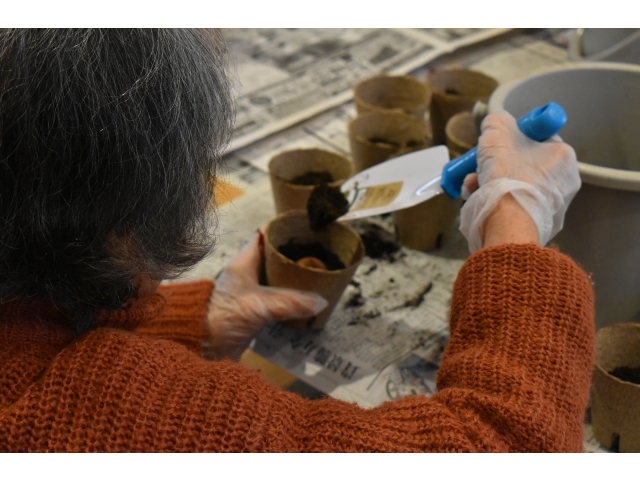 球根ポットづくり