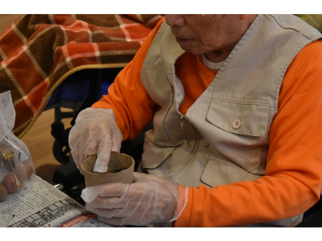 球根ポットづくり