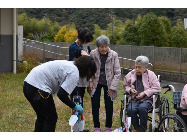 どこに植え付けましょう？