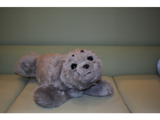 もえぎの「もえちゃん」です