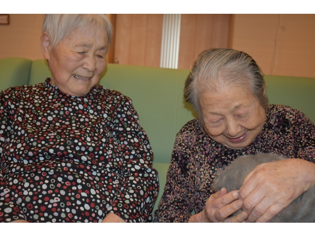 取り合いです　人気のもえちゃん