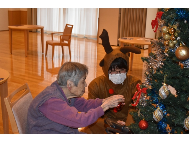 トナカイと触れ合って飾ろう(^^♪