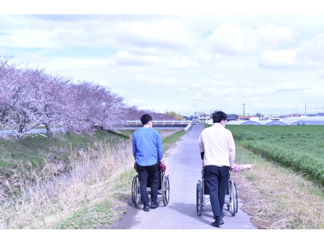 車を降りて散策(*^▽^*)