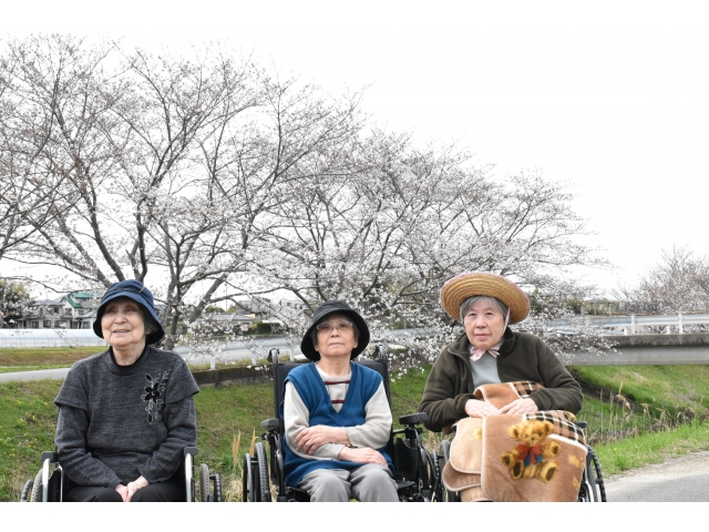 川沿いで桜をバックにパチリ✧p◎qω•,,´)ﾊﾟｼｬ