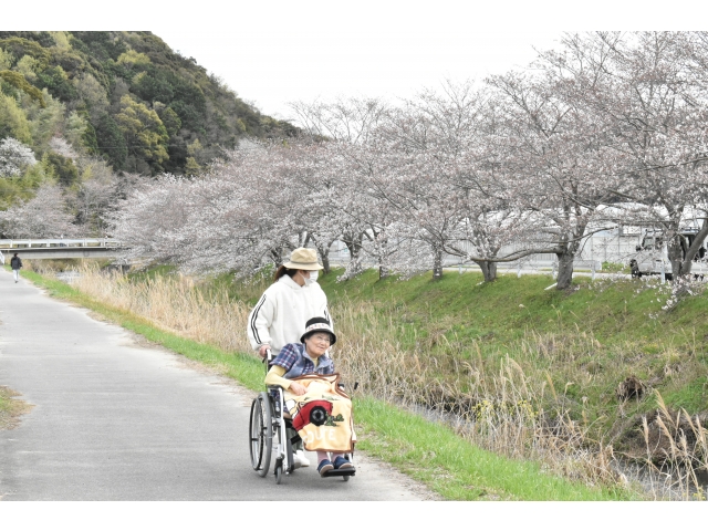 ほら向こう見て♪咲いてるよ(*^^*)