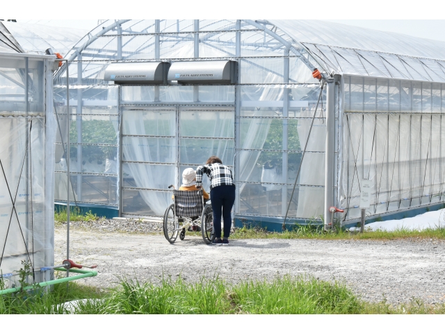 お迎え待ってるときにハウスの中が気になって…( *´艸｀)