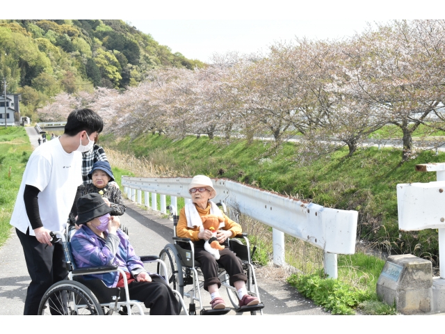 桜を眺めながらおしゃべり((´∀｀))ｹﾗｹﾗ