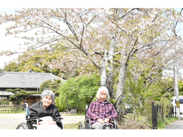 お寺にも桜咲いてたよ～(*´▽｀*)