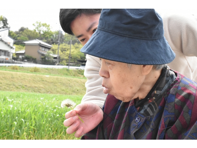 たんぽぽの綿毛を見つけたので「ふ～～～っ」(*´з`)＝3