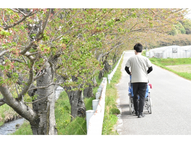 桜散っちゃって残念ですね(´；ω；`)ｳｯ…