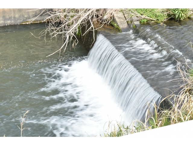 これから暑くなってくるので、涼しげな写真を先取り✧p◎qω•,,´)ﾊﾟｼｬ