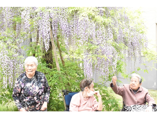 藤の花をバックに(*´▽｀*)