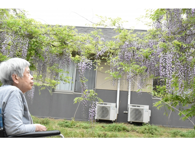 綺麗だねぇ(^^♪