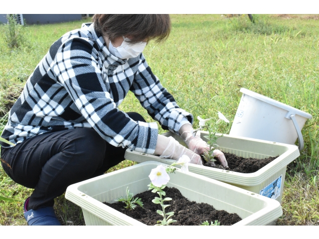 プランターには苑長が植え付け(´∀｀*)