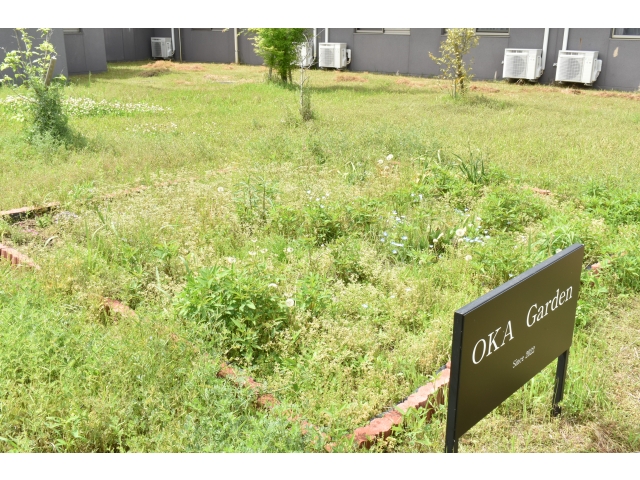 作業前はこんな状態だったのが…(´ロ｀)『Befoer』