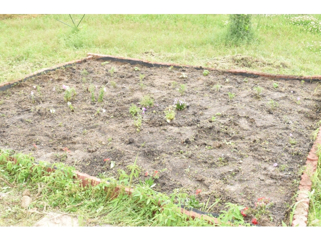 OKA Gardenも綺麗にでき、苗を植えることができましたv(o･ω･o)ｨｪｨ♪