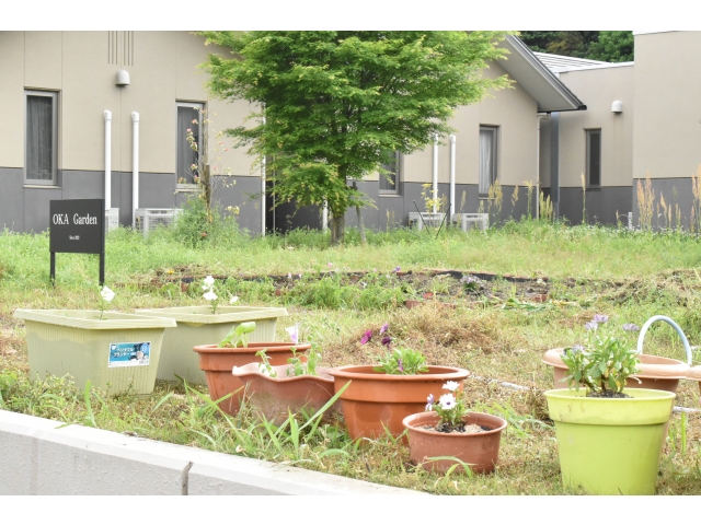 これから綺麗な花を咲かせてくれるといいなぁﾜｸ♪o(●´ω｀●)oﾜｸ♪
