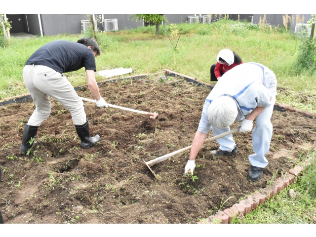 耕して石などの邪魔なものを取り除き( ｡･･)/⌒□ﾎﾟｲ