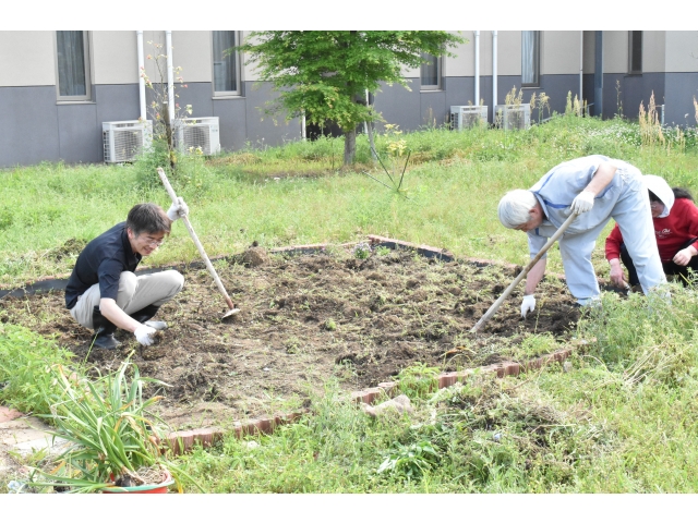 丁寧に根っこや草を取りました(･ω･; A